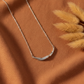 Colar Barra Curva Prata — flat lay