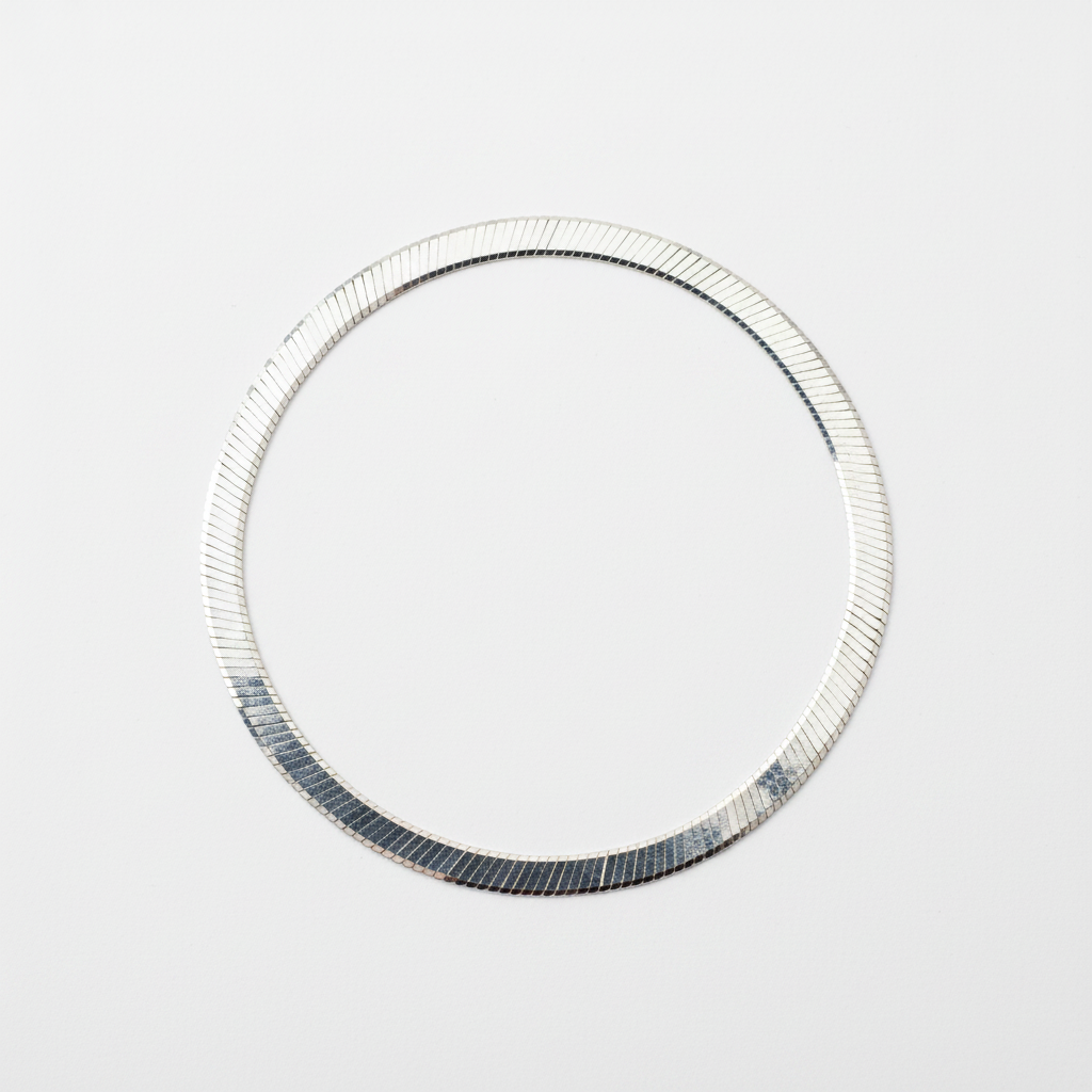 Serpente silver flat lay